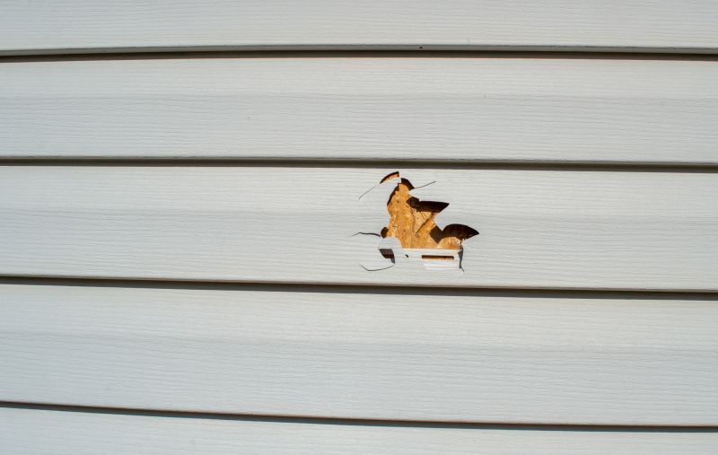 Vinyl Siding Damage Assessment